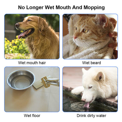 Pet Water Dispensers