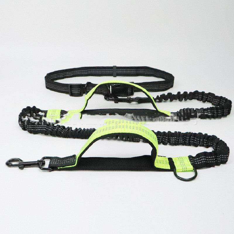 Multifunctional Pet Rope