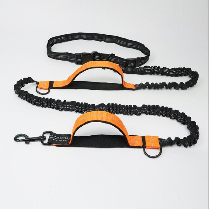 Multifunctional Pet Rope